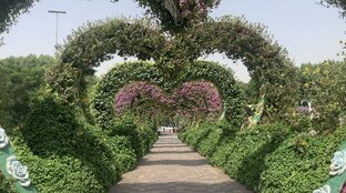 Любовь и отношения