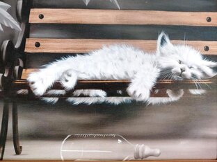 Коты