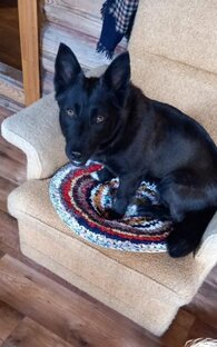 🎈 Уже дома!