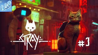 Stray