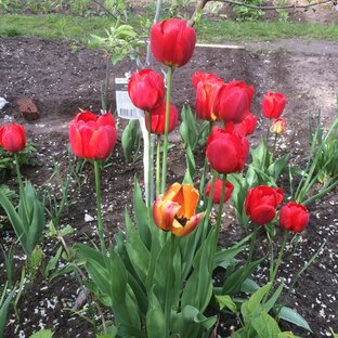 Совершенствование. Как возможно?