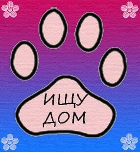 Ищу дом