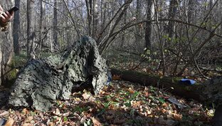 Двухколёсная и 4 колесная техника.