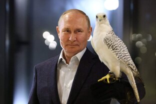 Политика