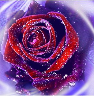 техники и практики