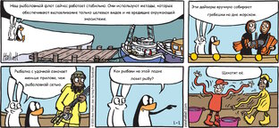 Полярный круг