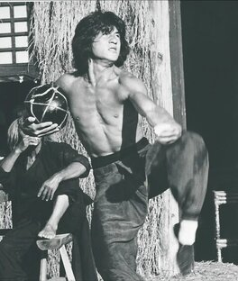 О китайских боевых искусствах и не только