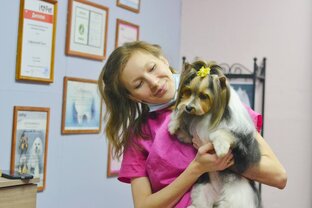 Про уход за питомцами