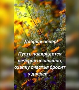 Добрый вечер  или спокойной ночи 😴☁️🌙