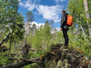 Записки поисковиков