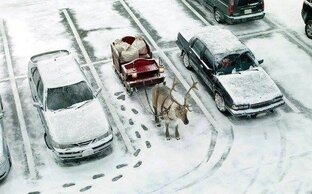 Новый Год! Чудеса, сказки, праздники и мультфильмы