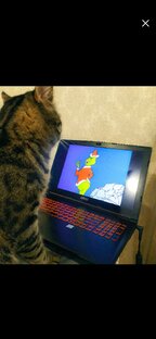 Обзоры и подборки фильмов 