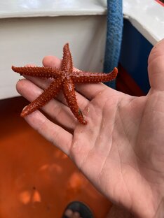 Венесуэлла 2023. 