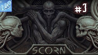 Scorn