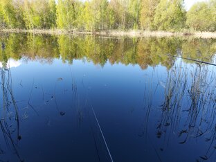 техника для рыбалки