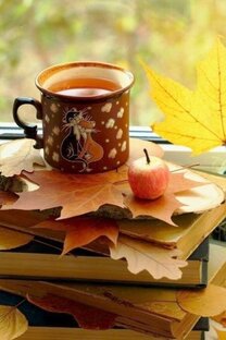 Мои видео о жизни