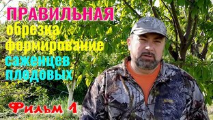 Секреты Садовода - Правильная ОБРЕЗКА, ПОДРЕЗКА Саженцев, Формирование Саженцев 
