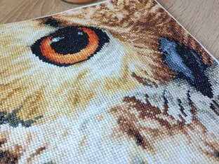 Готовые работы 2023