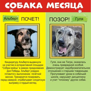 Доска почёта/позора
