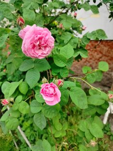 Не про покупки 🛒