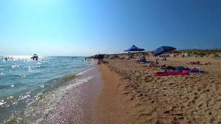 поездки на машине