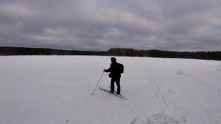 На ЛЫЖНЕ в ЛЕСУ СОЛО и с ДРУЗЬЯМИ