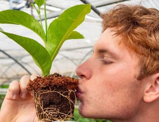 питомник Agrumi Lenzi