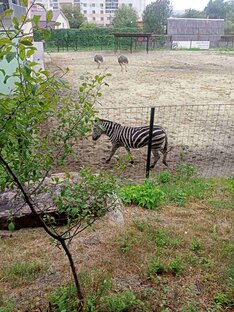 Про торговлю на рынке ММВБ и инвестиции.