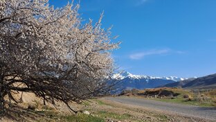 Kyrgyzstan / Киргизия