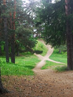 Хороший день