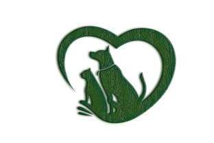 НАШИ ПОДОПЕЧНЫЕ