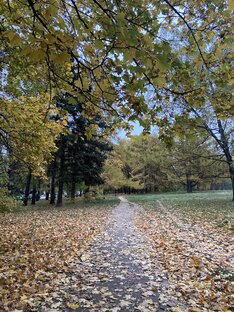 Непридуманные истории 