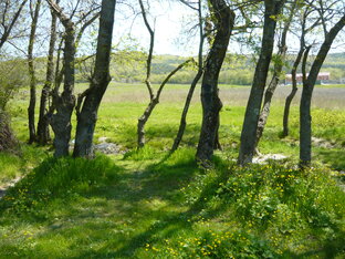 Рыбалка и отдых на природе.