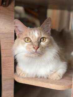 Голоден ❤️