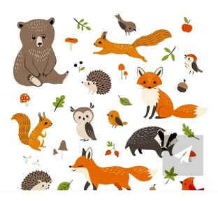 ЖИВОТНЫЕ и ПТИЦЫ