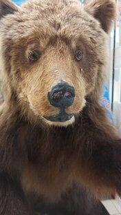 Коротко о России