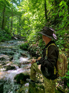 Путешествия