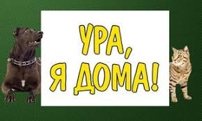 Приветы из дома 