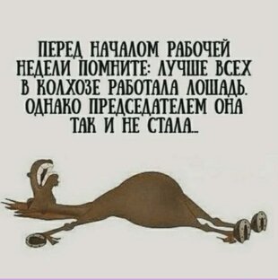 О работе 