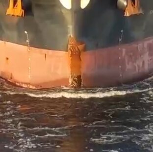 Снято в море