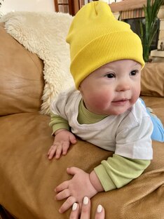 БАДы протокол Дикси