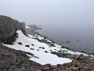 АРКТИКА ❄️
