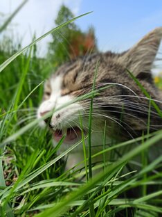 Смешные фото с Алексом 