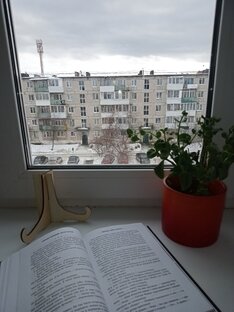 Мои стихи 