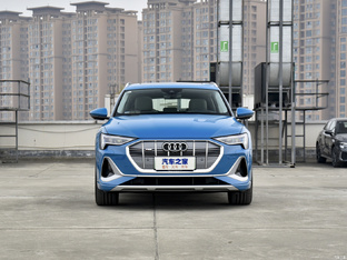 Audi (FAW) e-tron
