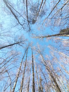 Куда отправиться в выходной 