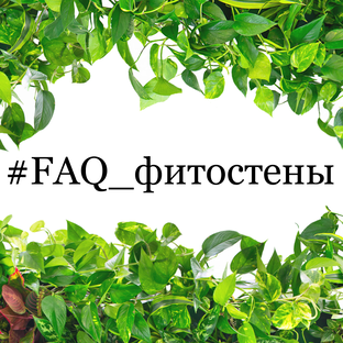 FAQ_Фитостены