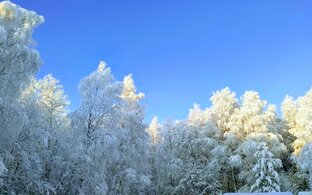 Люблю зимы седой молчанье...