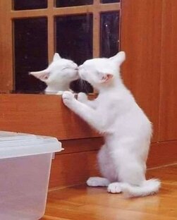 Любовь к себе 💋