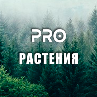 __ПРО РАСТЕНИЯ__